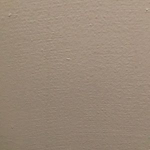 Meet your Posher, Andre